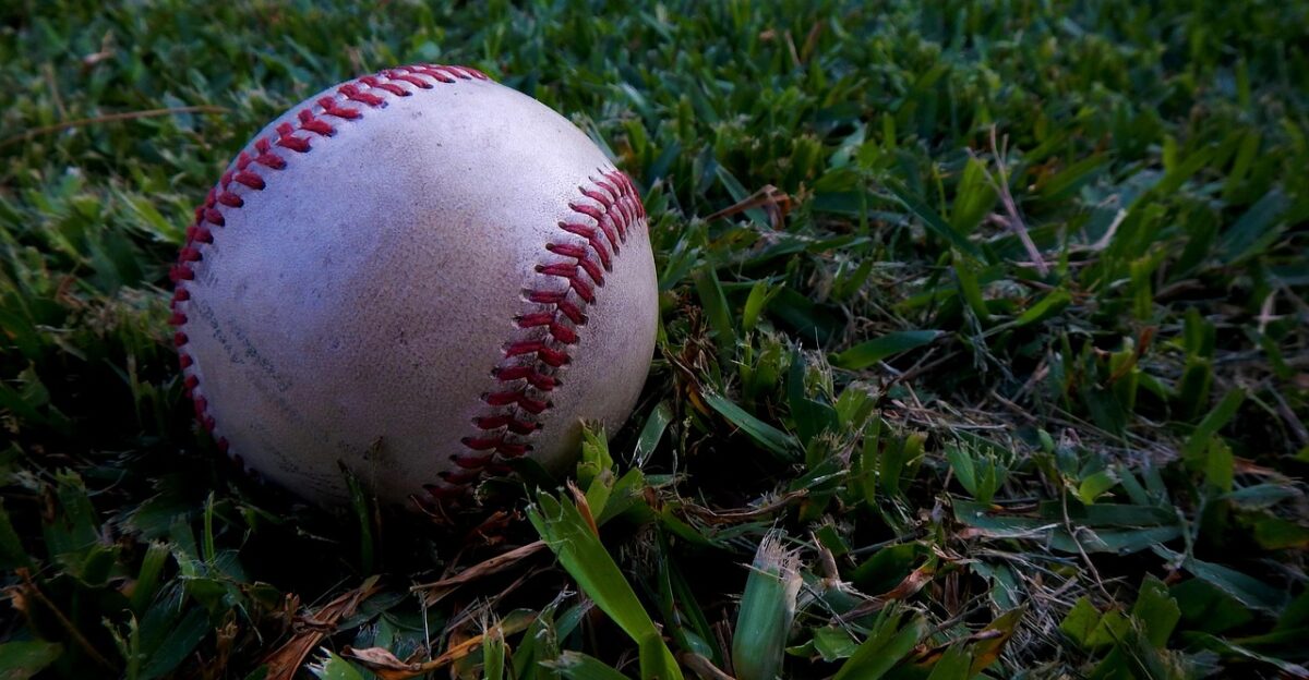 baseball ball sport league spalding season major league baseball baseball baseball baseball baseball