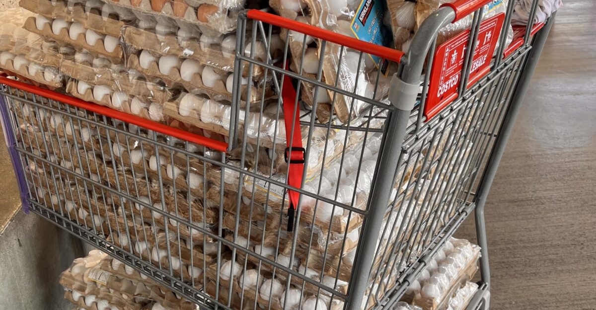 While You Can t Even Find a Dozen-Someone s Buying 1 000 in Eggs