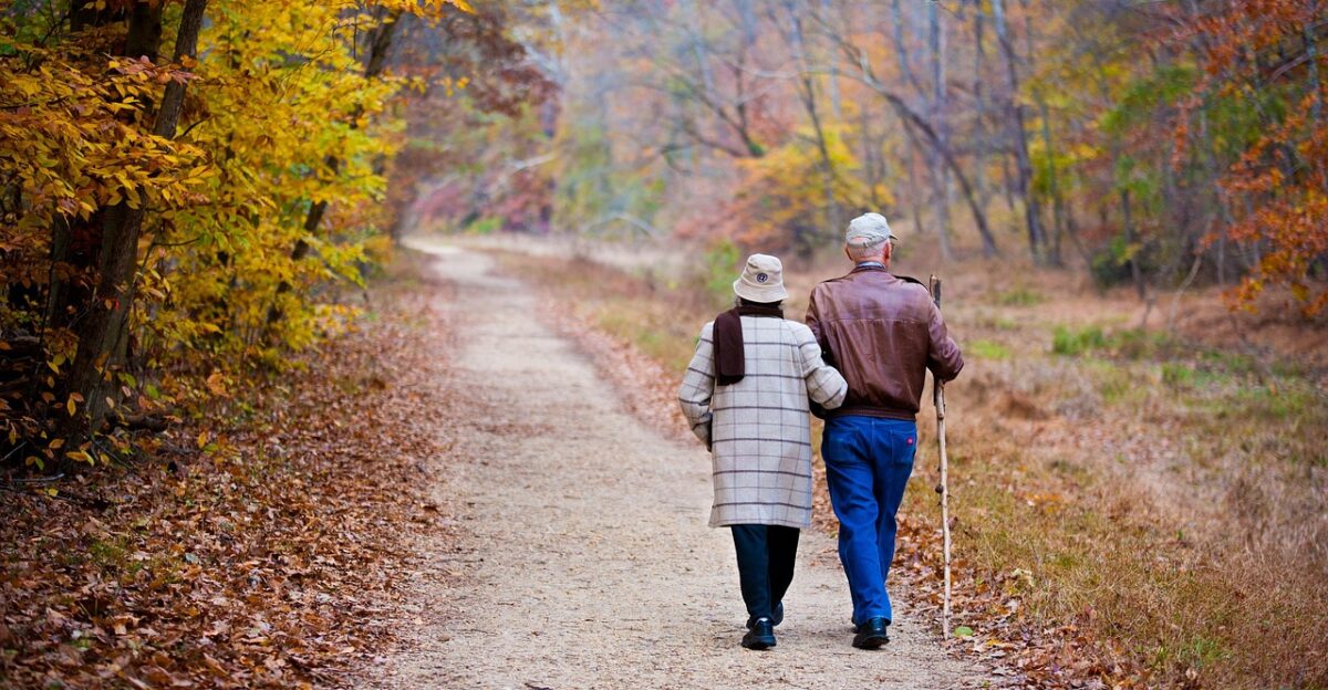 couple elderly walking fall trail elderly couple old couple holding hands path autumn trees outdoors nature grandparents couple couple couple couple couple elderly elderly couple old couple old couple grandparents